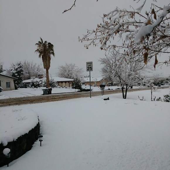 Meet your Posher, Michelle - Picture 4 of 5